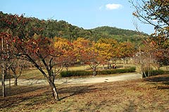 鏡山公園