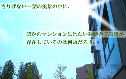 キュアプライド